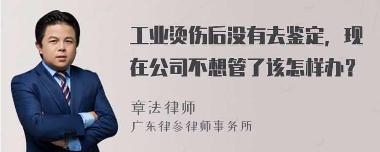 工业烫伤后没有去鉴定，现在公司不想管了该怎样办？