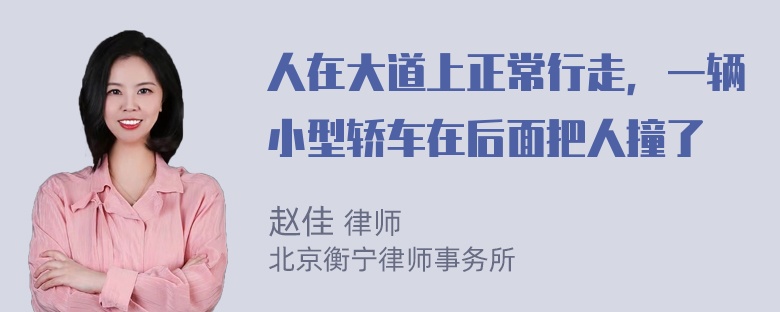 人在大道上正常行走，一辆小型轿车在后面把人撞了