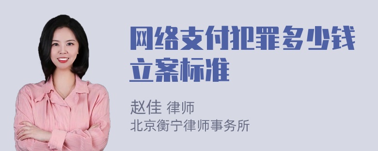 网络支付犯罪多少钱立案标准