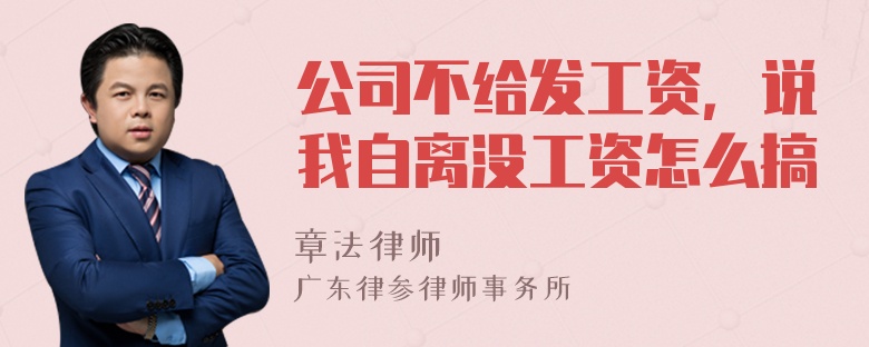 公司不给发工资，说我自离没工资怎么搞