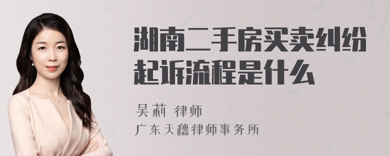 湖南二手房买卖纠纷起诉流程是什么