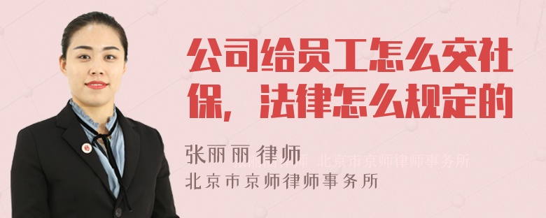 公司给员工怎么交社保，法律怎么规定的