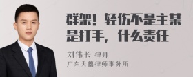 群架！轻伤不是主某是打手，什么责任