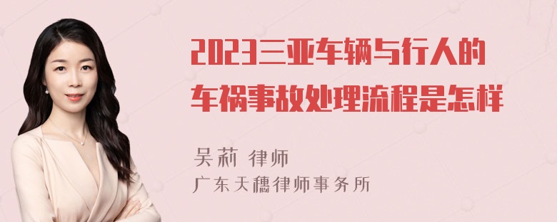 2023三亚车辆与行人的车祸事故处理流程是怎样