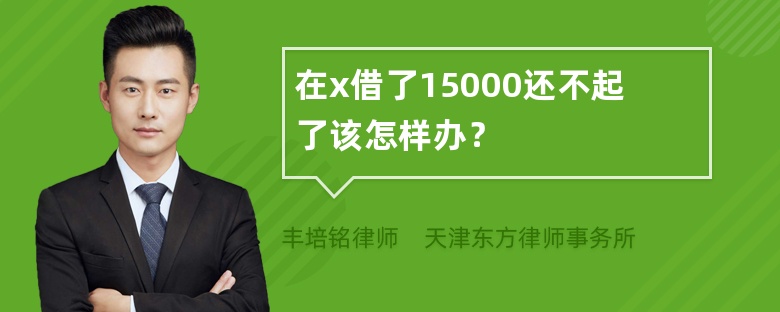 在x借了15000还不起了该怎样办？