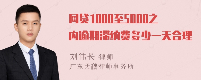 网贷1000至5000之内逾期滞纳费多少一天合理