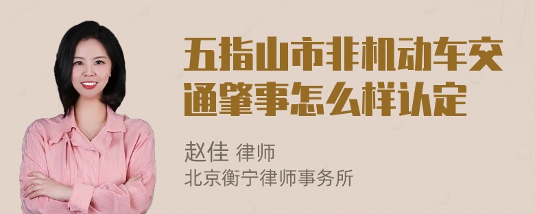 五指山市非机动车交通肇事怎么样认定