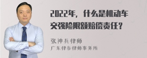 2022年，什么是机动车交强险限额赔偿责任？