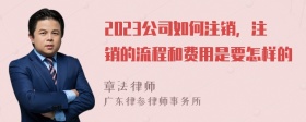 2023公司如何注销，注销的流程和费用是要怎样的