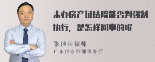 未办房产证法院能否判强制执行，是怎样回事的呢