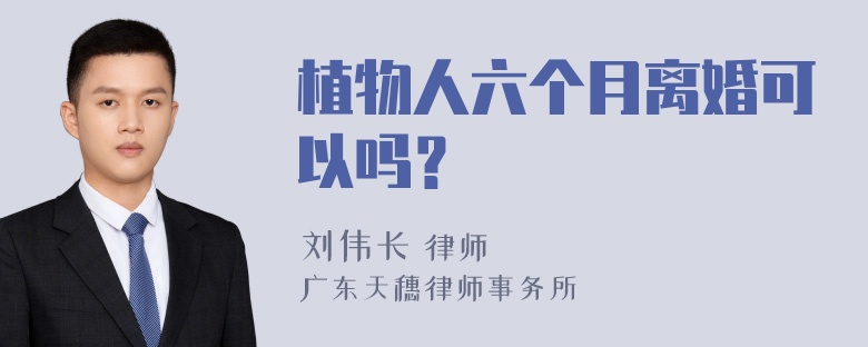 植物人六个月离婚可以吗？