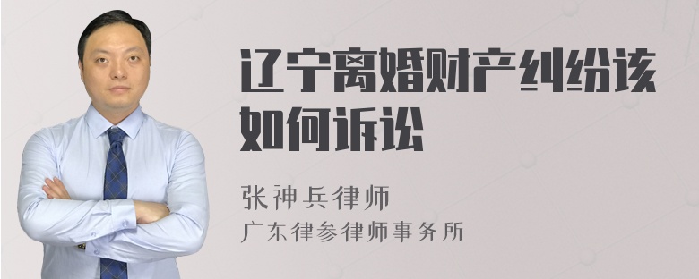 辽宁离婚财产纠纷该如何诉讼