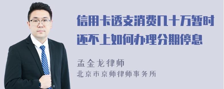 信用卡透支消费几十万暂时还不上如何办理分期停息