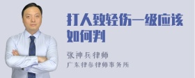 打人致轻伤一级应该如何判