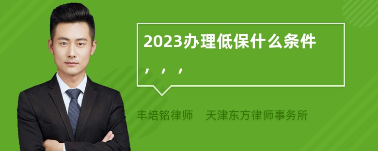 2023办理低保什么条件，，，