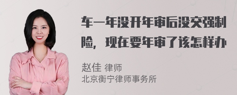 车一年没开年审后没交强制险，现在要年审了该怎样办