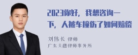 2023你好，我想咨询一下，人被车撞伤了如何赔偿