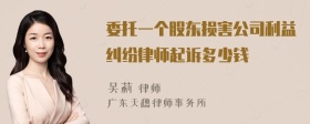 委托一个股东损害公司利益纠纷律师起诉多少钱