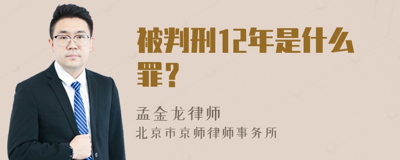 被判刑12年是什么罪？