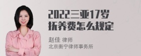 2022三亚17岁抚养费怎么规定