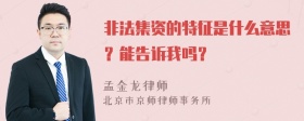 非法集资的特征是什么意思？能告诉我吗？