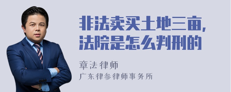 非法卖买土地三亩，法院是怎么判刑的