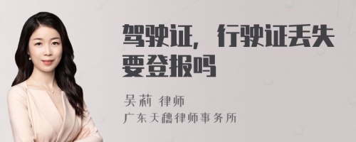 驾驶证，行驶证丢失要登报吗