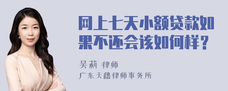 网上七天小额贷款如果不还会该如何样？