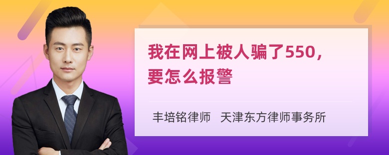 我在网上被人骗了550，要怎么报警