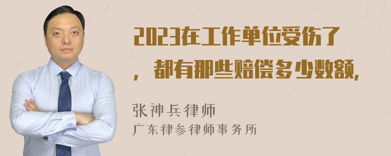 2023在工作单位受伤了，都有那些赔偿多少数额，