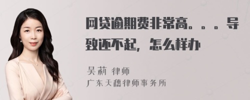 网贷逾期费非常高。。。导致还不起，怎么样办