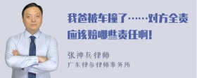 我爸被车撞了……对方全责应该赔哪些责任啊！