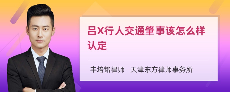 吕X行人交通肇事该怎么样认定