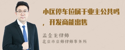 小区停车位属于业主公共吗，开发商能出售