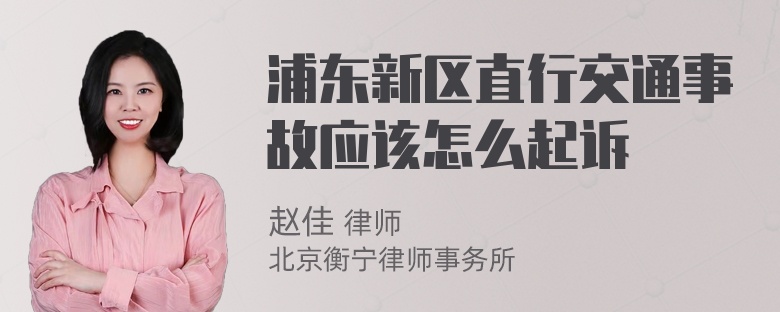 浦东新区直行交通事故应该怎么起诉