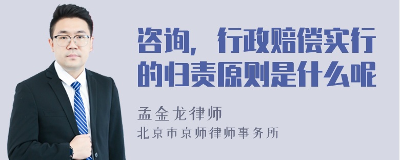 咨询，行政赔偿实行的归责原则是什么呢