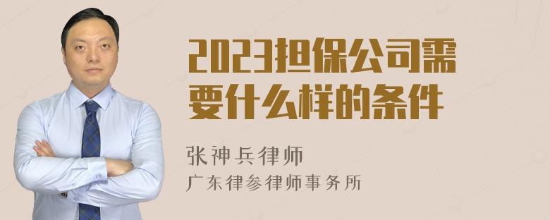 2023担保公司需要什么样的条件