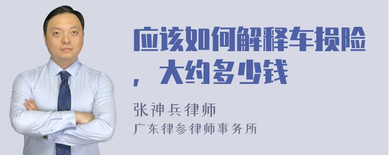 应该如何解释车损险，大约多少钱