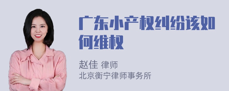 广东小产权纠纷该如何维权