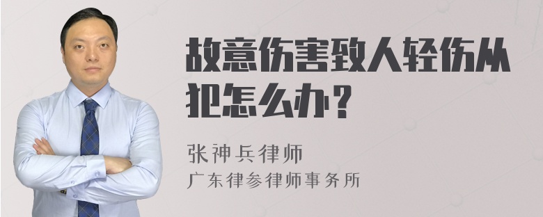 故意伤害致人轻伤从犯怎么办？