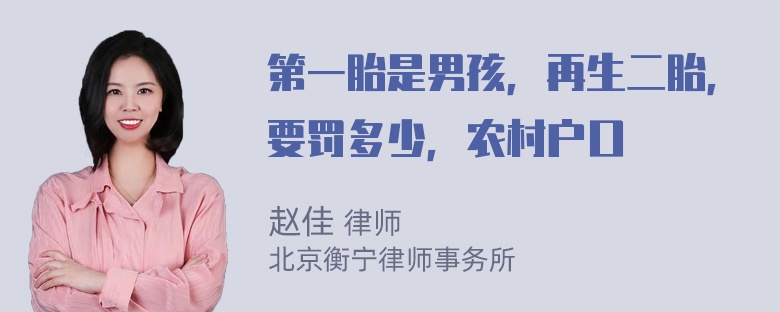 第一胎是男孩，再生二胎，要罚多少，农村户口