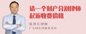 请一个财产分割律师起诉收费价格