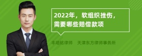 2022年，软组织挫伤，需要哪些赔偿款项