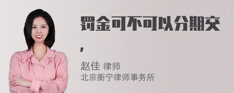罚金可不可以分期交，