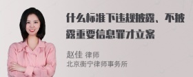 什么标准下违规披露、不披露重要信息罪才立案