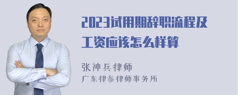 2023试用期辞职流程及工资应该怎么样算