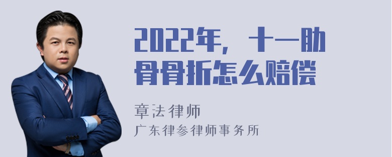 2022年，十一肋骨骨折怎么赔偿