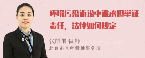 环境污染诉讼中谁承担举证责任，法律如何规定