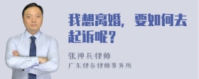 我想离婚，要如何去起诉呢？