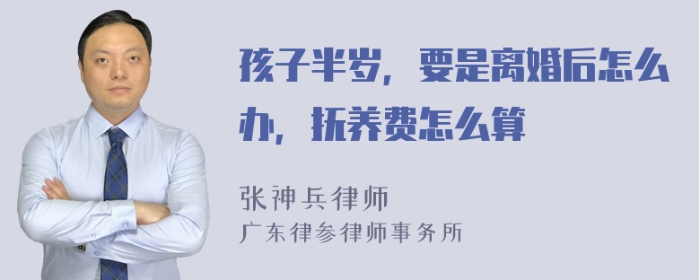 孩子半岁，要是离婚后怎么办，抚养费怎么算